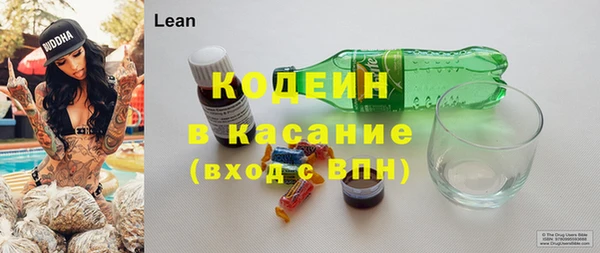гашик Арсеньев