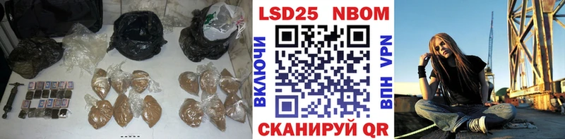 blacksprut зеркало  закладки  Терек  Лсд 25 экстази кислота 