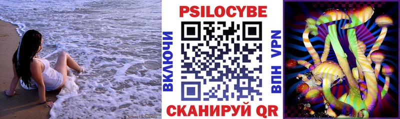Псилоцибиновые грибы Cubensis  Терек 